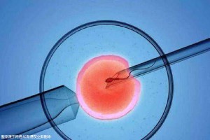 苏医生